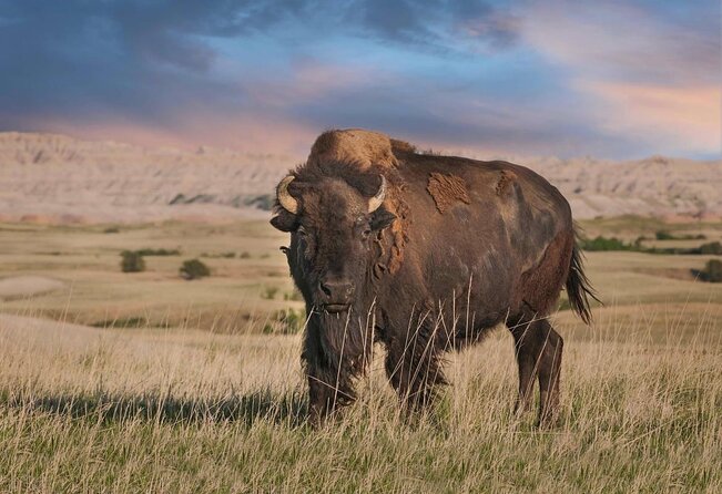 Majestic Landscapes: Badlands, Wall Drug, and Agate Hunts