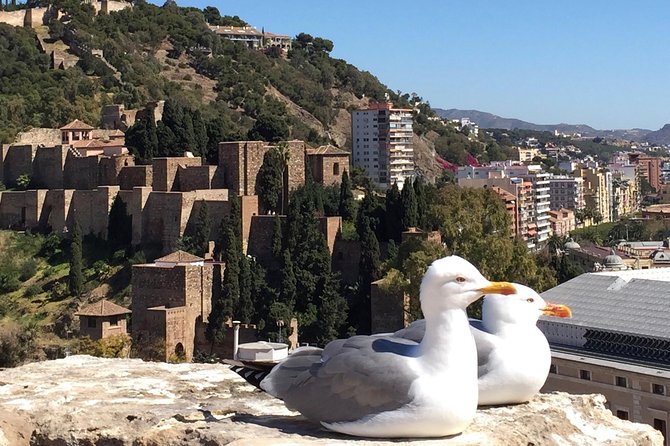 Malaga Highlights: A Welcome Private City Tour