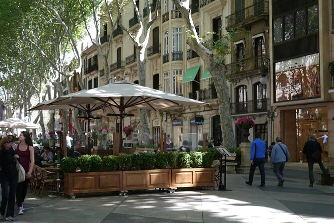 Mallorca Shore Excursion Highlights Private Tour Review - Meeting and Pickup Details