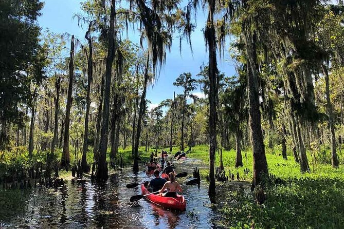 Manchac Swamp Kayak Tour for Experienced Kayakers With Pickup - Tour Overview and Highlights