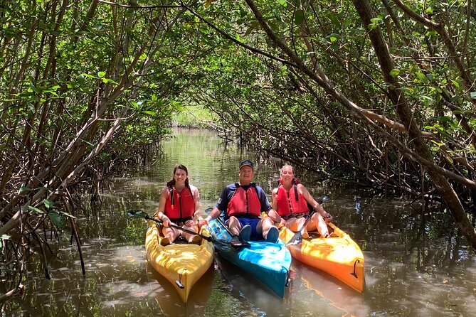 Mangrove Tunnel Kayak Eco Tour