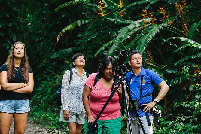 Manuel Antonio National Park Nature Walk