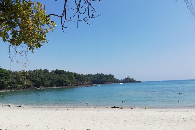 Manuel Antonio National Park Tour From San Jose.