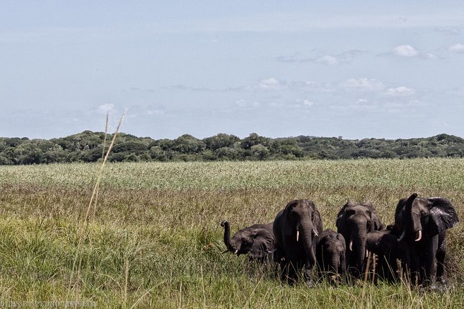 Maputo Special Reserve – 1 Day