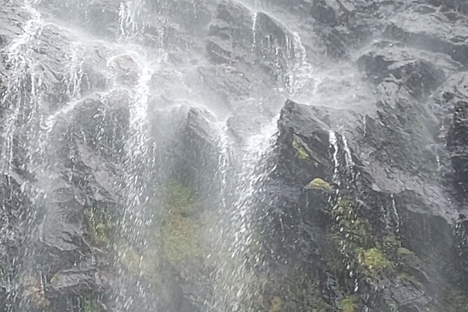 Maracas Waterfall Hike