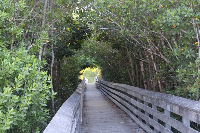 Marco Island Photography Experience - Overview of the Photography Experience