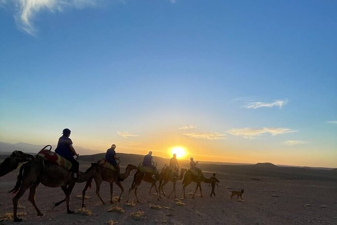 Marrakech Amazing Dinner Show in Agafay Desert, Sunset Camel Ride