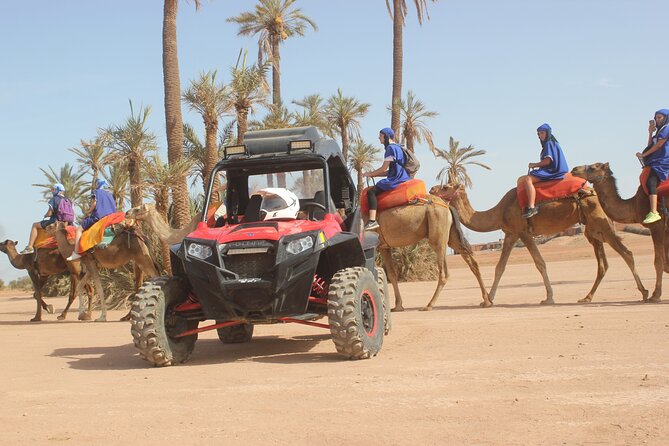 Marrakech: Camel Ride in the Palm Grove