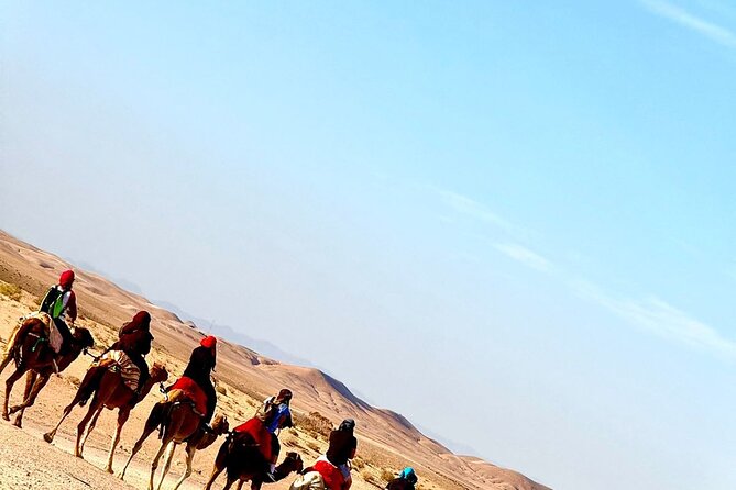 MARRAKECH QUAD BIKE : Sunset & Dinner Show Camel Experience