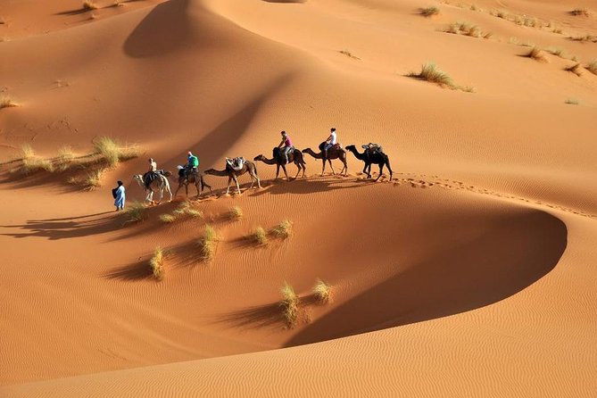 Marrakech- Route of the Kasbahs- Merzouga Desert 6 Nights / 7 Days - Tour Overview and Highlights