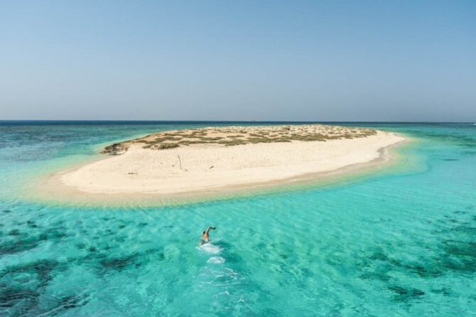 Marsa Alam: Snorkel With Sea Cows and Turtles at Marsa Mubarak