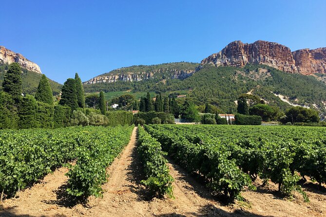 Marseille Shore Excursion - Full Day Wine Tour in Provence - Overview of the Wine Tour