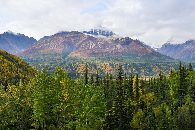 Matanuska Glacier Wildlife & Wilderness Photo Tour From Anchorage