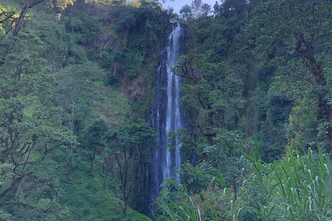 Materuni Waterfalls & Coffee Tour - Tour Overview