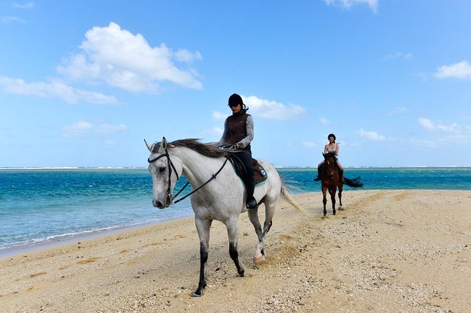 Mauritius Horse Riding at Riambel