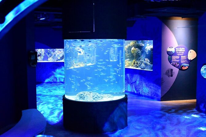 Mauritius Odysseo Oceanarium in Port Louis