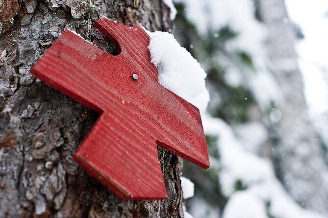 Medicine Trail Snowshoe Tour