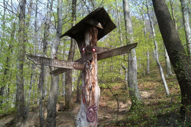 Medvednica Hiking and Chestnuts Picking Tour From Zagreb - Tour Overview