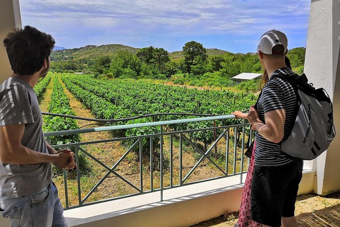 Meet the AUTHENTIC Rhodes Tour – PRIVATE Half or Full Day Tour