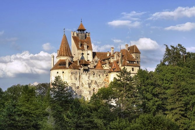 Meet the Bears & Visit Dracula Castle Day Tour From Bucharest