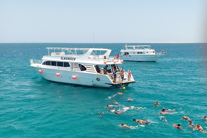 Meet the Dolphins in Snorkeling Tour