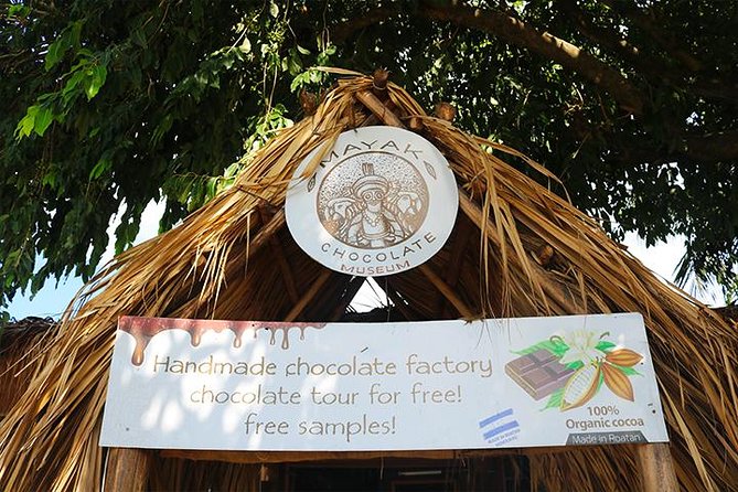 Mega Excursion Zipline, Sloths & Monkeys, Chocolate Factory, Beach & Shuttle
