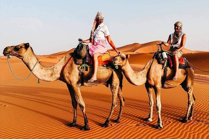 Merzouga Excursions 4×4 Desert Tour