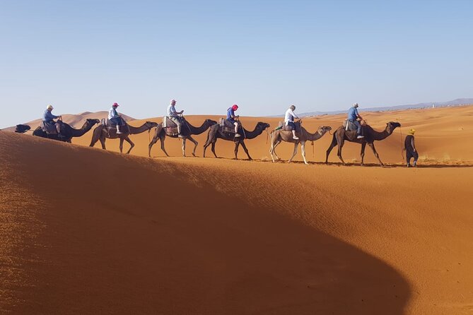 Merzouga One Hour Quad Bike Adventure Tour