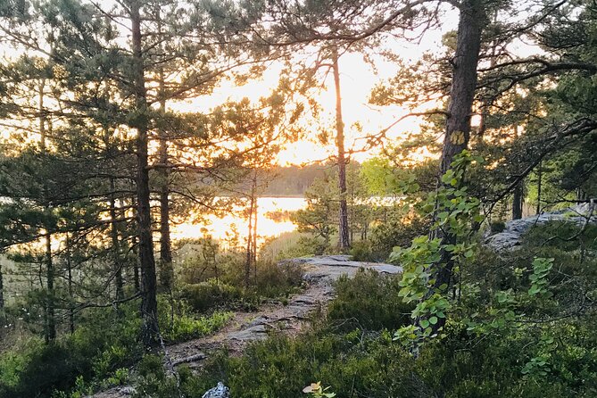 Midnight Sun and Campfire - Forest Evening Hike Outside Stockholm - Vegan Delight and Swedish Fika
