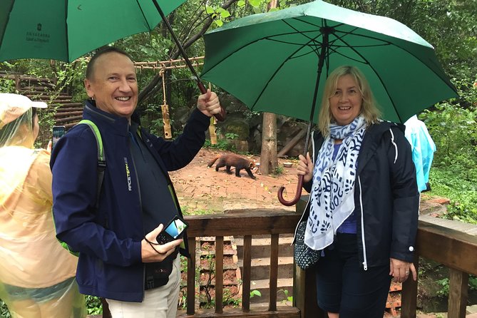 Mini Group: Half-Day Chengdu Pandas Guided Tour - Inclusions and Amenities