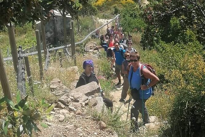 Minitrekking and Visit of the Cinque Terre Vineyard
