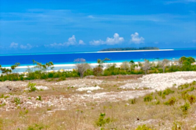 Mnemba Island Snorkeling Tour