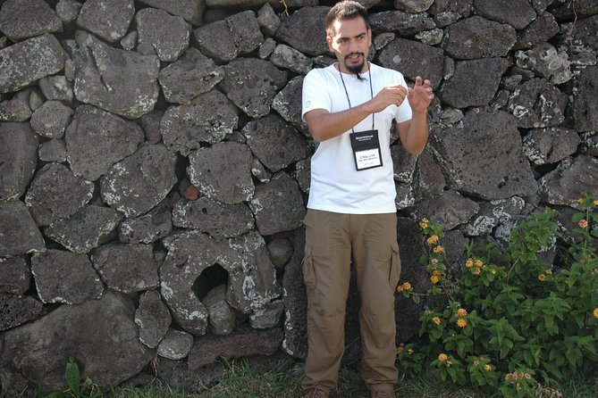 Moai Rise and Fall: Full Day Private Tour