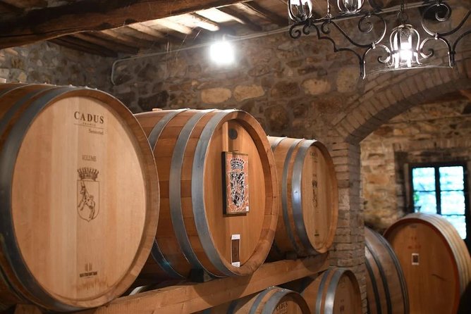 Montalcino Wine Tour Review: A Sipping Adventure