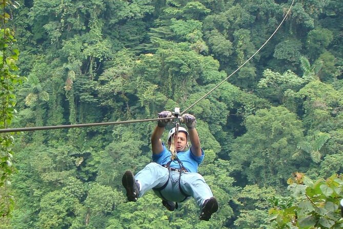 Monteverde Cloud Forest Hike and Hanging Bridges Tour From Guanacaste - Tour Overview