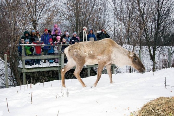 Montreal Zoo, Private Half Day Tour
