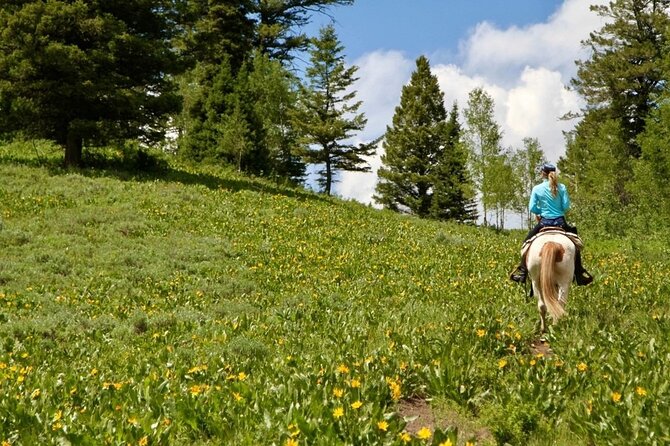 Moose Meadow Breakfast Ride