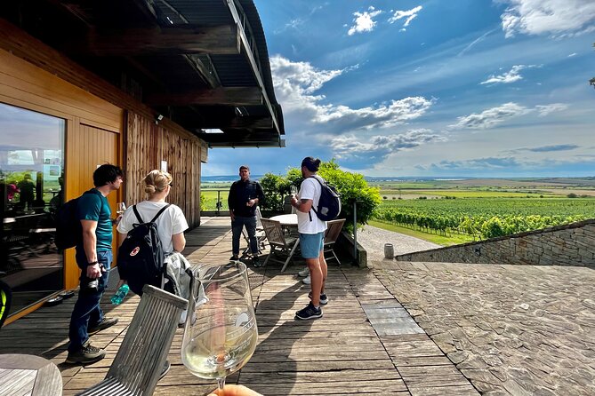 Moravian E-Bike & Wine Day Trip From Brno