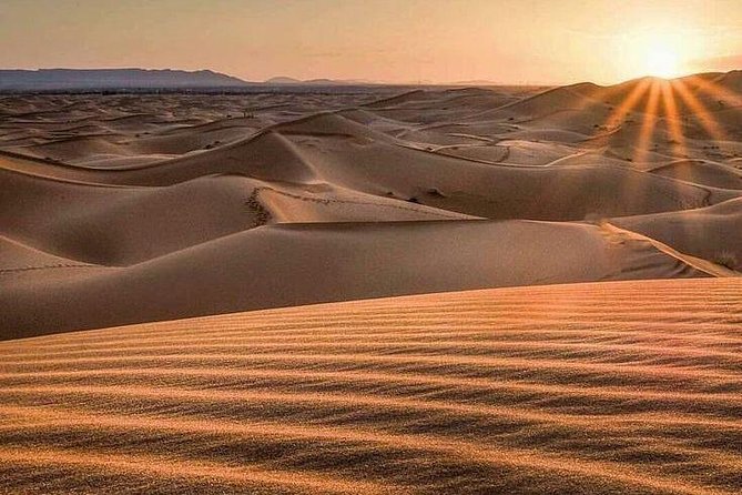 Morning Desert Safari