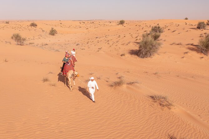 Morning Safari With Camel Ride and Quad Bike Single Seater