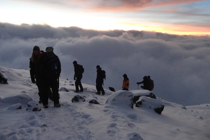 Mount Kilimanjaro Trek 7-Days: Lemosho Route