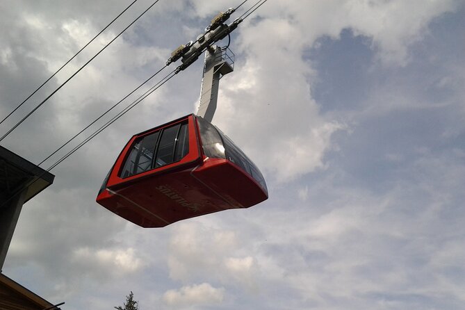 Mount Pilatus in Winter: Small Group Tour From Luzern