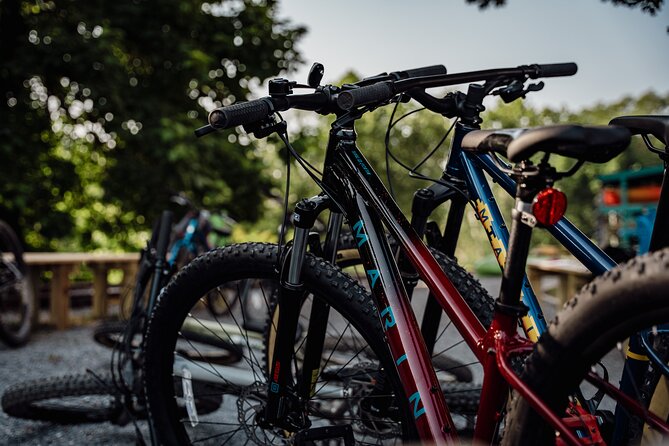 Mountain Bike Tour From the Roanoke Star