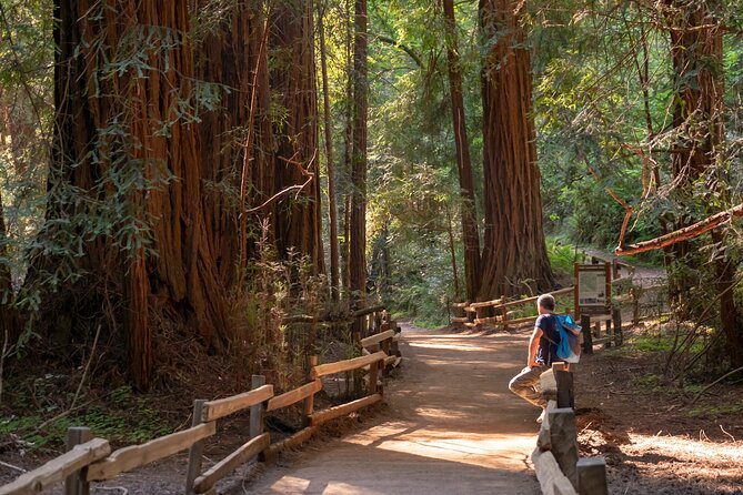 Muir Woods Expedition Tour of Coastal Redwoods