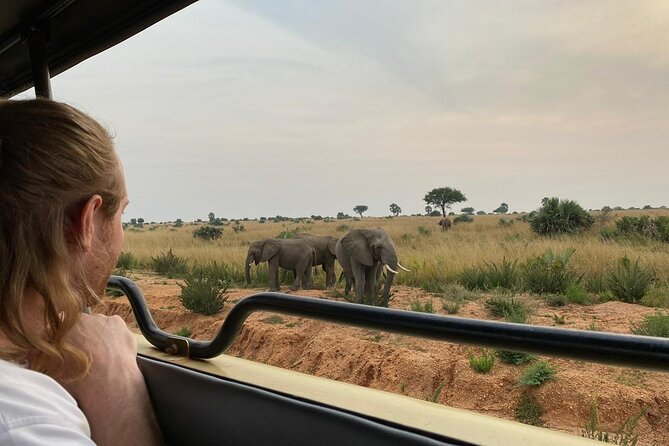 Murchison Falls National Park – 3 Days