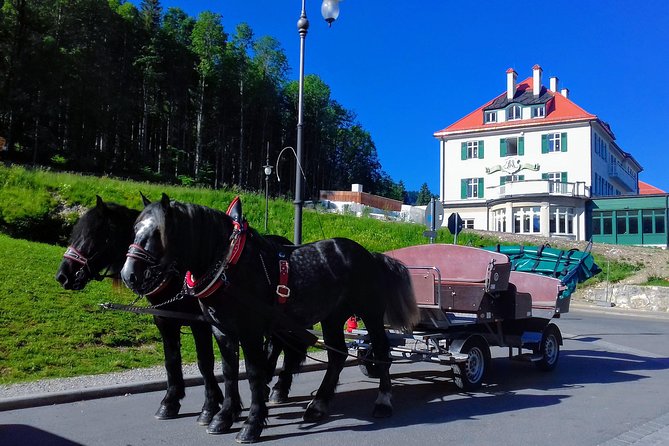 My*Guide EXCLUSIVE Neuschwanstein Tour INCL. TICKETS From Garmisch-Partenkirchen