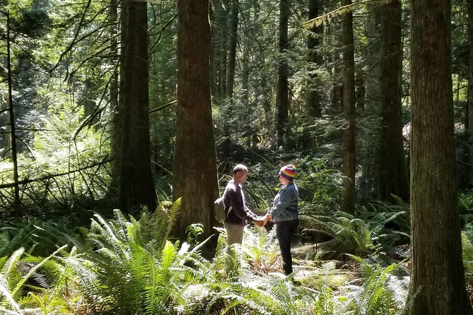 Mystical Rainforest Tour – Forest Magick