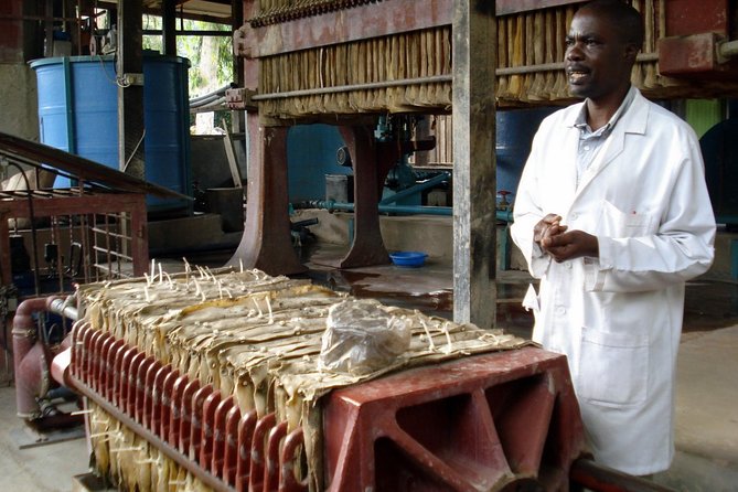 Nairobi Cultural Shopping Experience - Overview of the Experience