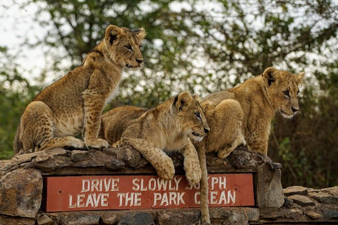 Nairobi National Park, Baby Elephant Orphanage and Giraffe Center