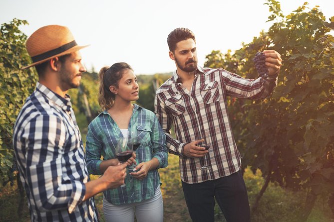 Naramata Wine Tour From Kelowna - 4 Wineries - Tour Overview
